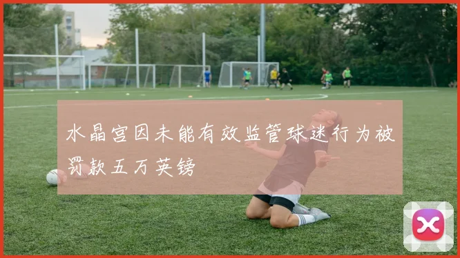 水晶宫因未能有效监管球迷行为被罚款五万英镑